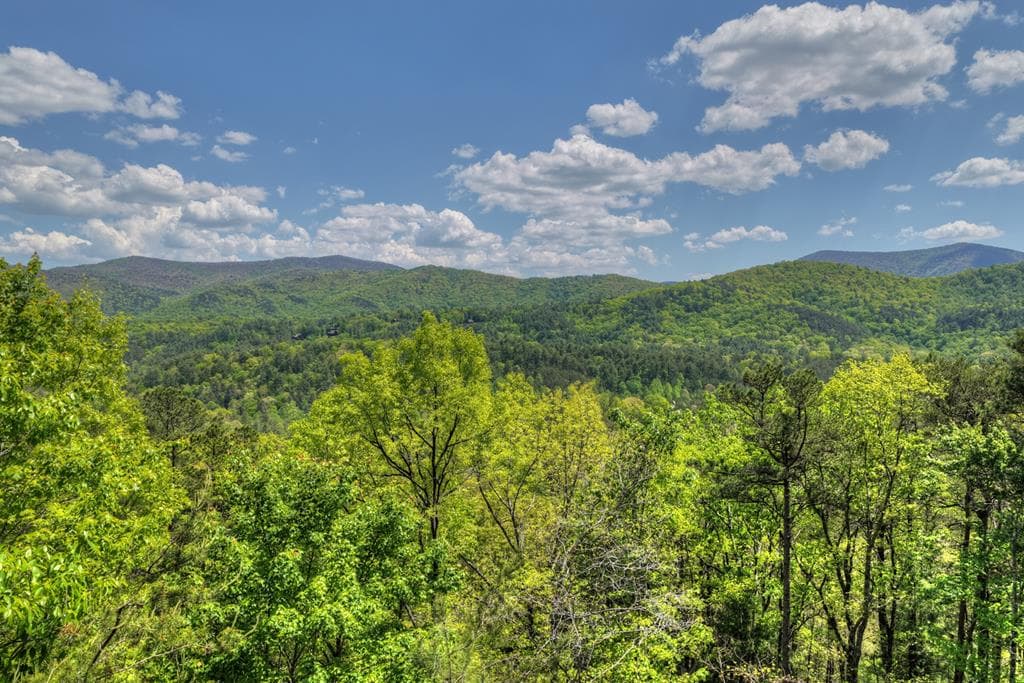 146 Rosiey Lane, Blue Ridge GA 30513 - Photo