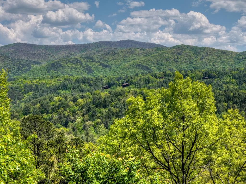 146 Rosiey Lane, Blue Ridge GA 30513 - Photo