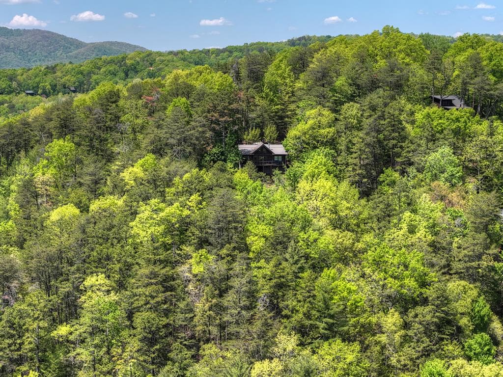 146 Rosiey Lane, Blue Ridge GA 30513 - Photo
