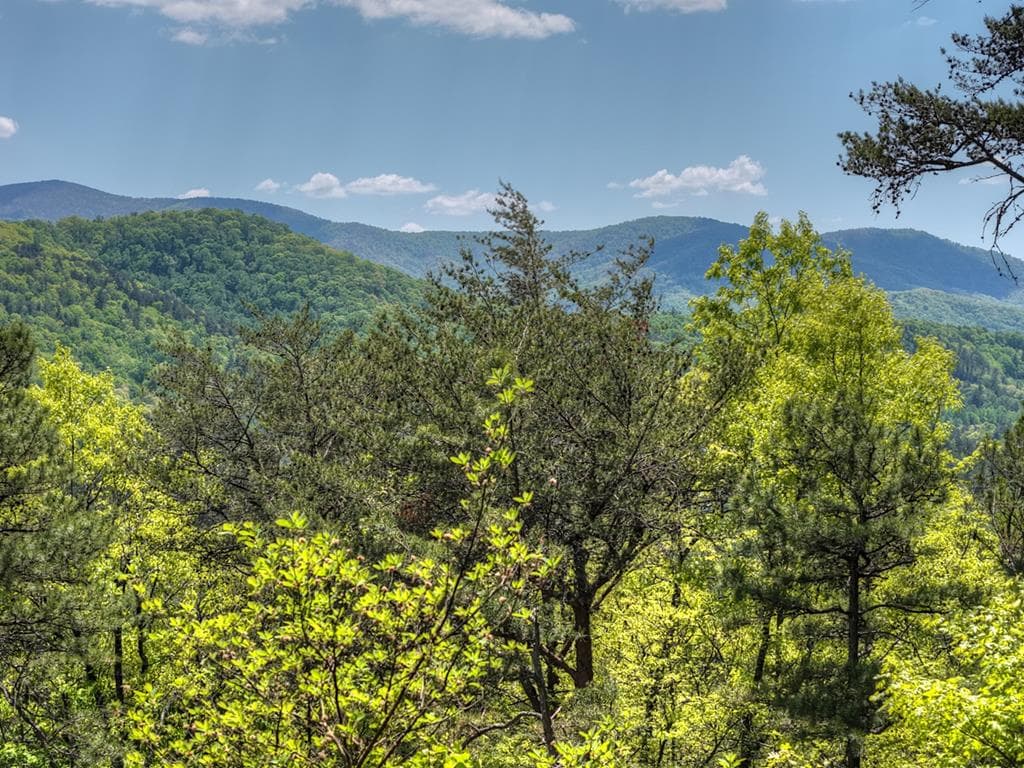 146 Rosiey Lane, Blue Ridge GA 30513 - Photo