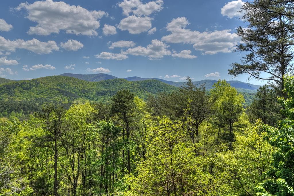 146 Rosiey Lane, Blue Ridge GA 30513 - Photo