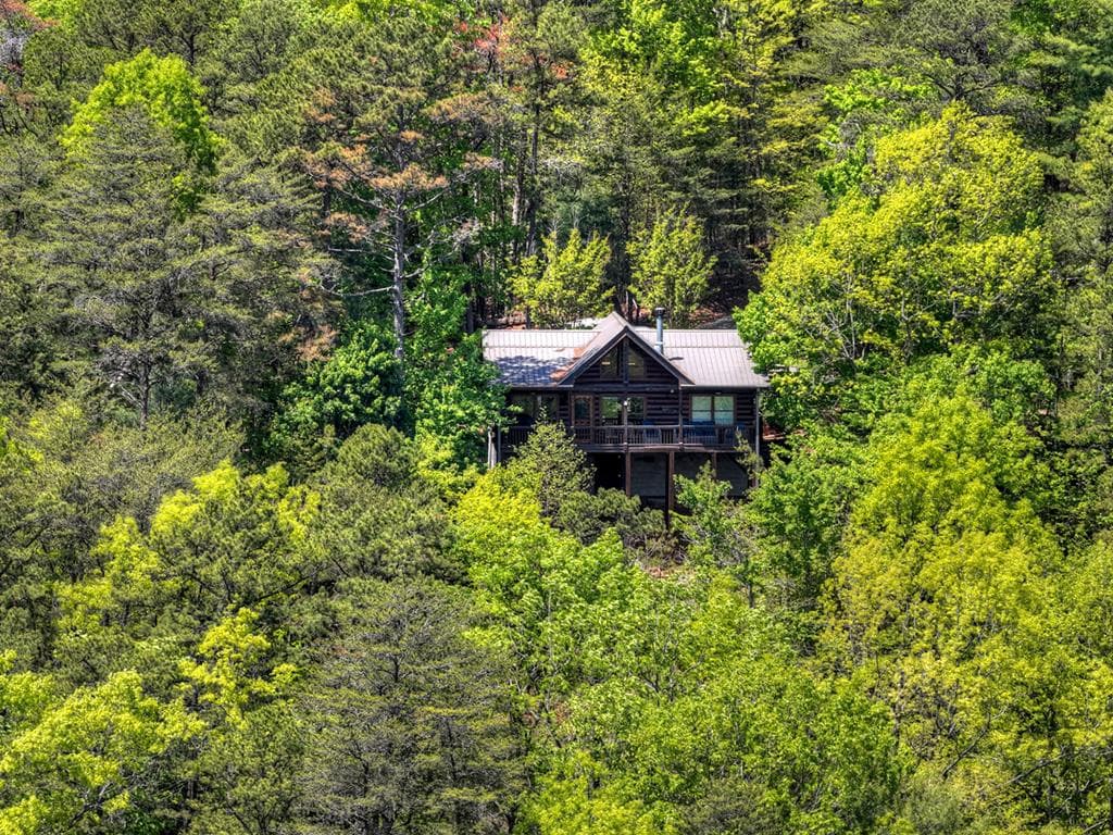 146 Rosiey Lane, Blue Ridge GA 30513 - Photo