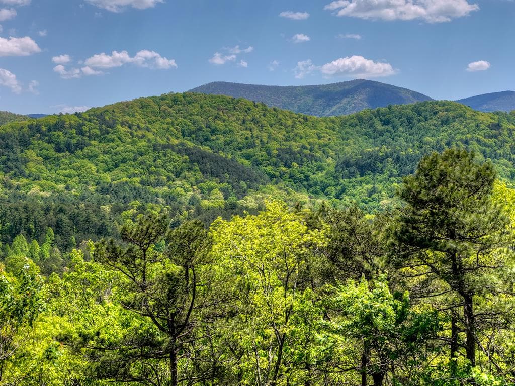 146 Rosiey Lane, Blue Ridge GA 30513 - Photo
