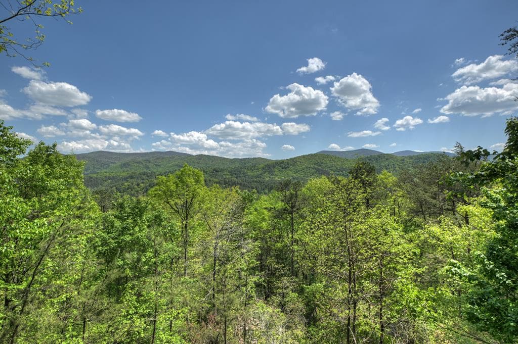 146 Rosiey Lane, Blue Ridge GA 30513 - Photo