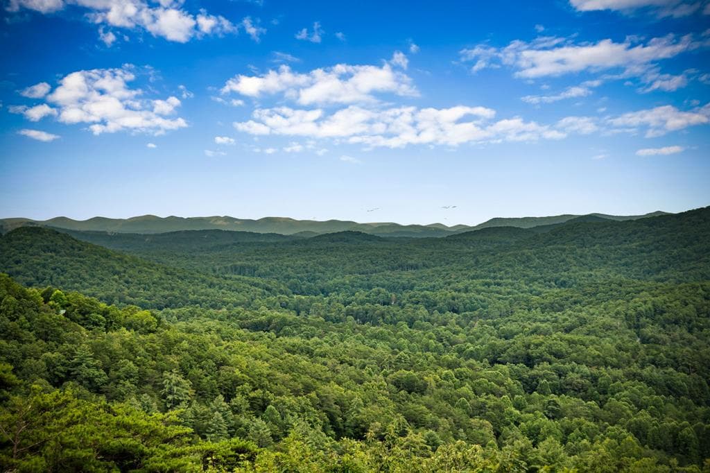 463 Big Sky Trail, Epworth GA 30541 - Photo