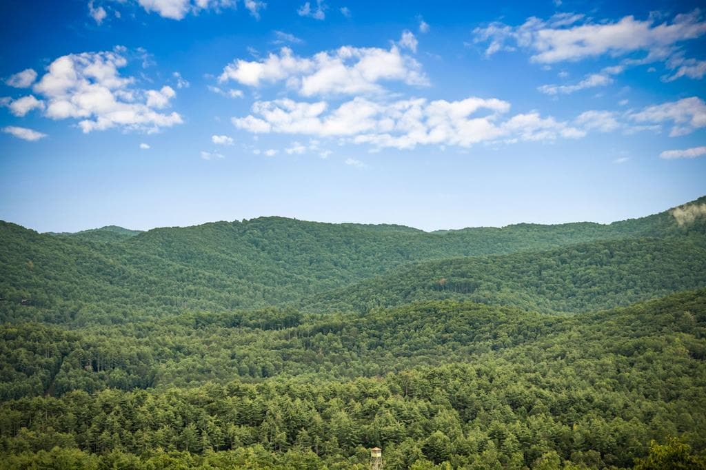 463 Big Sky Trail, Epworth GA 30541 - Photo