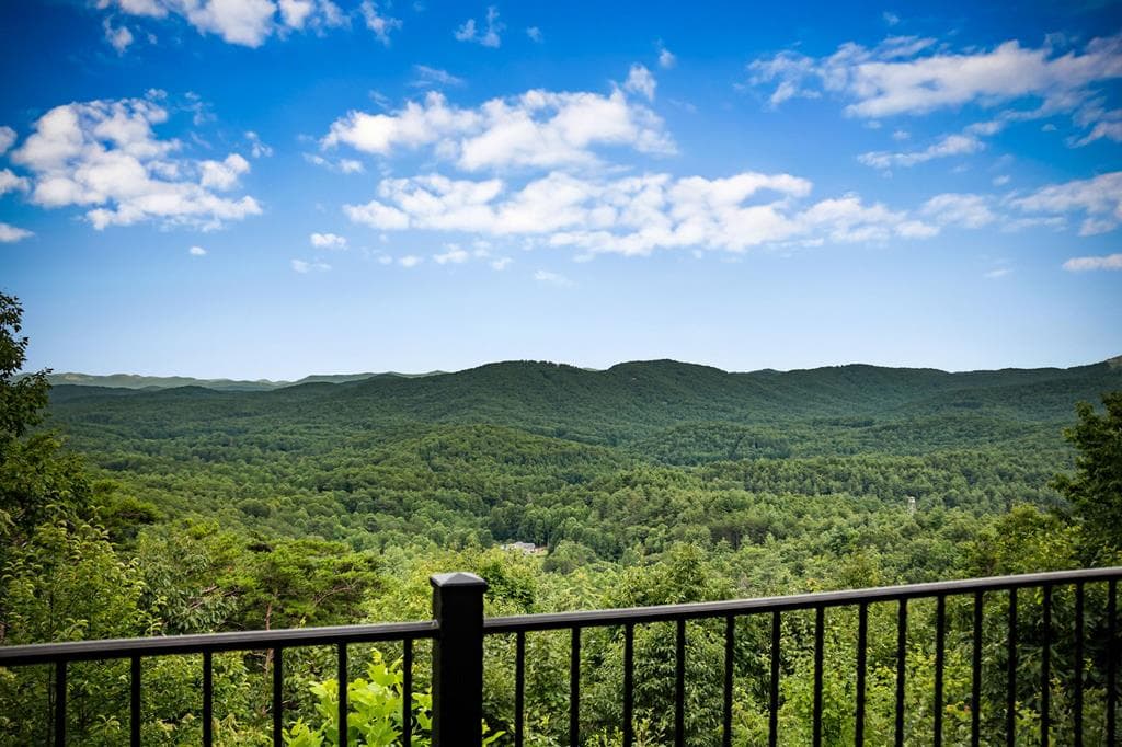 463 Big Sky Trail, Epworth GA 30541 - Photo