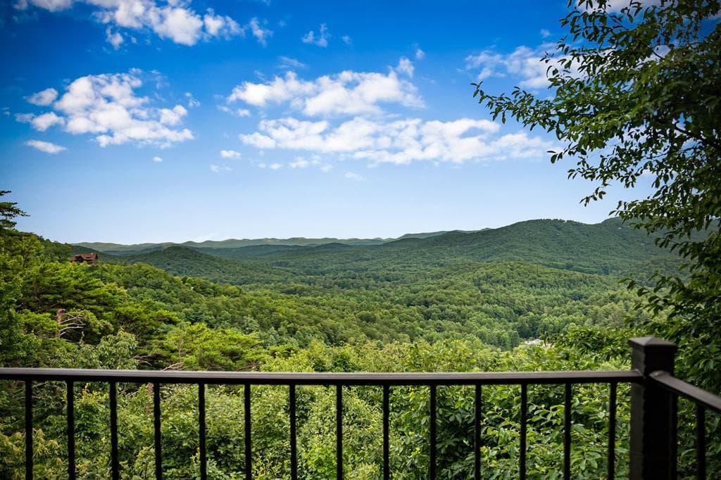463 Big Sky Trail, Epworth GA 30541 - Photo