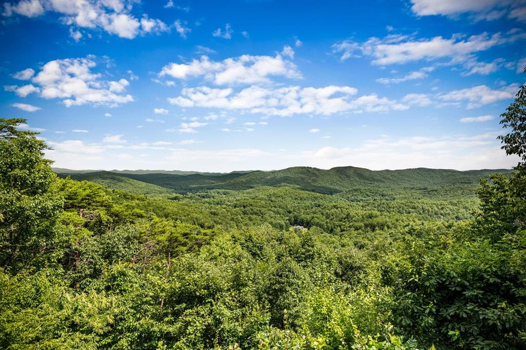 463 Big Sky Trail, Epworth GA 30541 - Photo