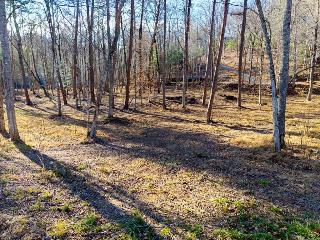 16.08 River Run Way, Hayesville NC 28904 - Photo