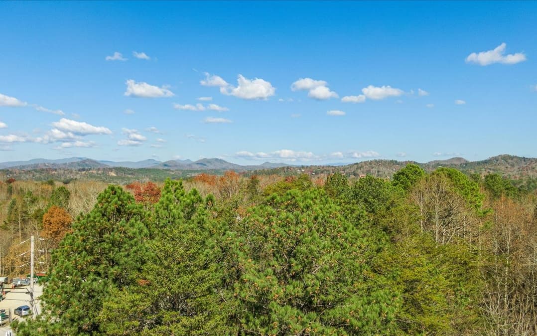 0 Lakewood Hwy, Mineral Bluff GA 30559 - Photo