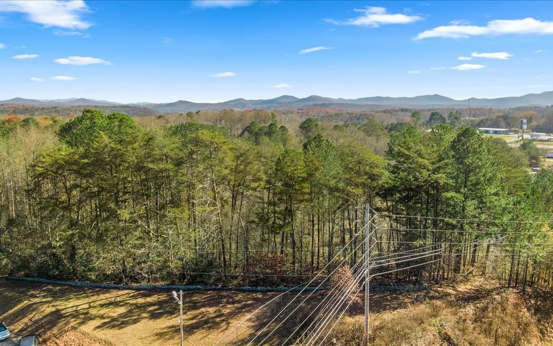 0 Lakewood Hwy, Mineral Bluff GA 30559 - Photo