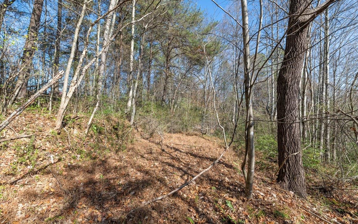 0 Lakewood Hwy, Mineral Bluff GA 30559 - Photo