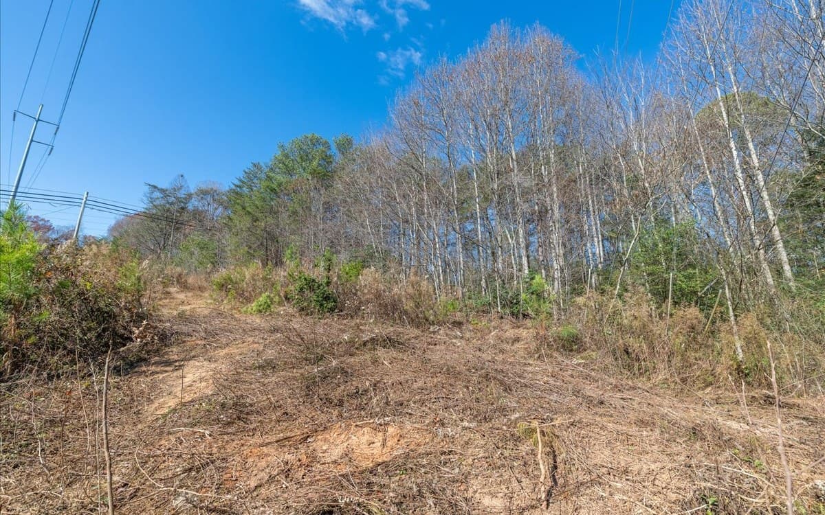 0 Lakewood Hwy, Mineral Bluff GA 30559 - Photo