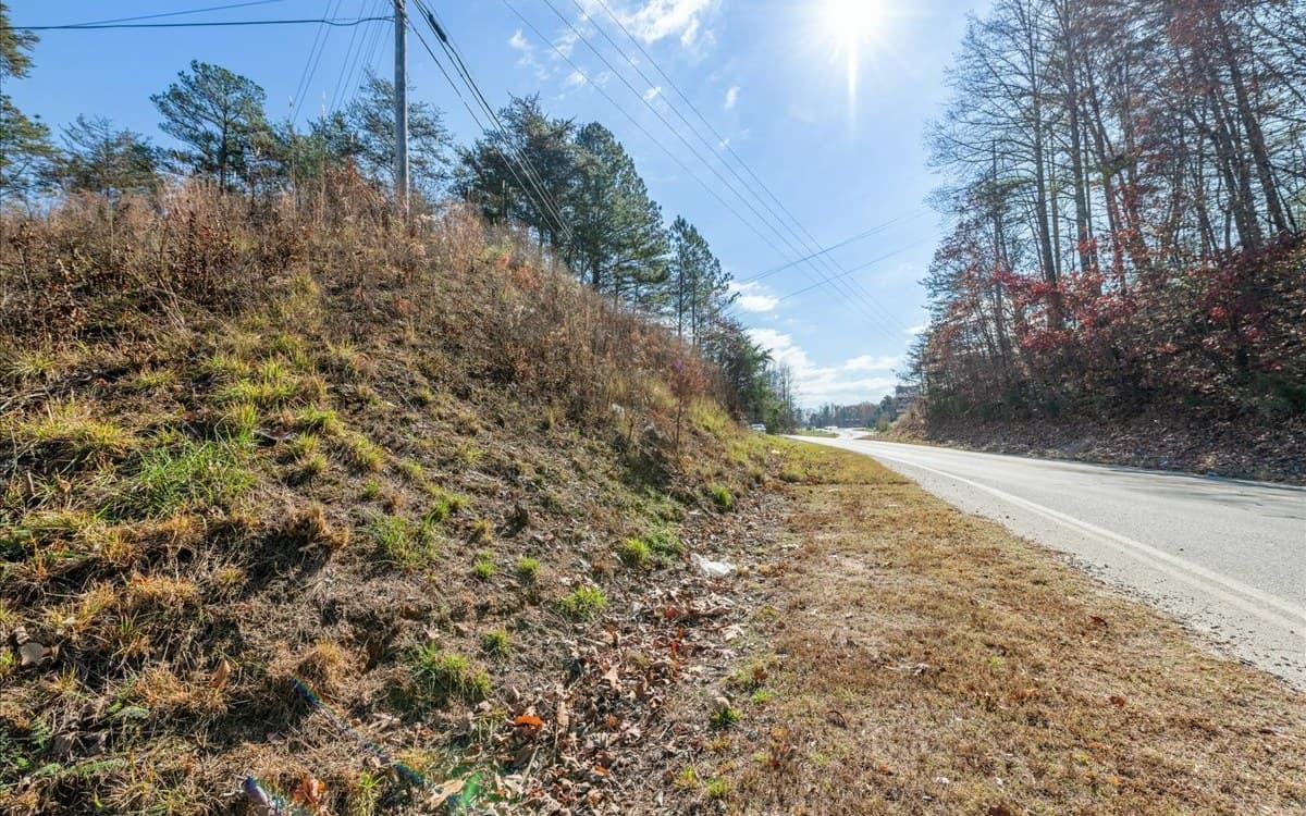 0 Lakewood Hwy, Mineral Bluff GA 30559 - Photo