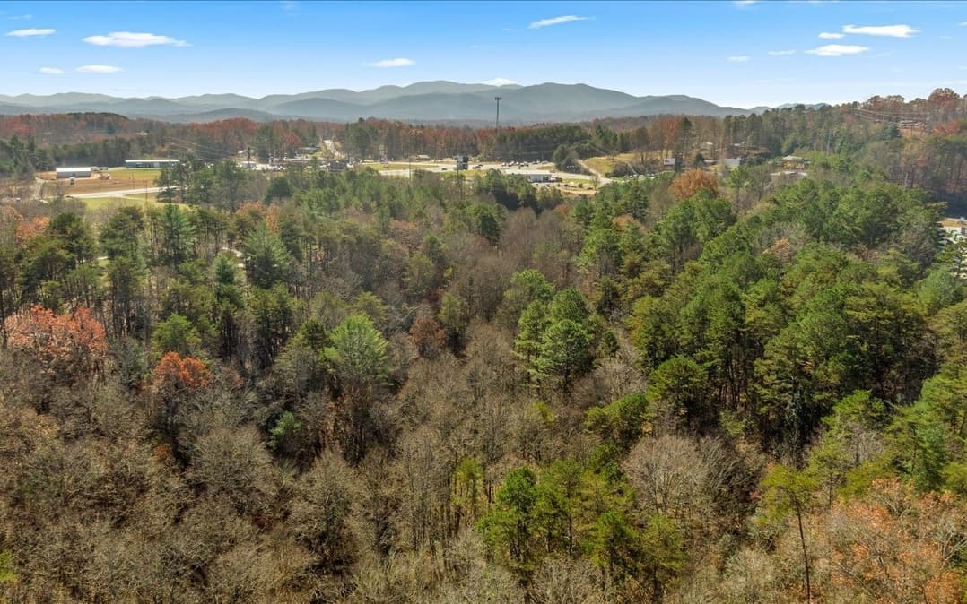 0 Lakewood Hwy, Mineral Bluff GA 30559 - Photo