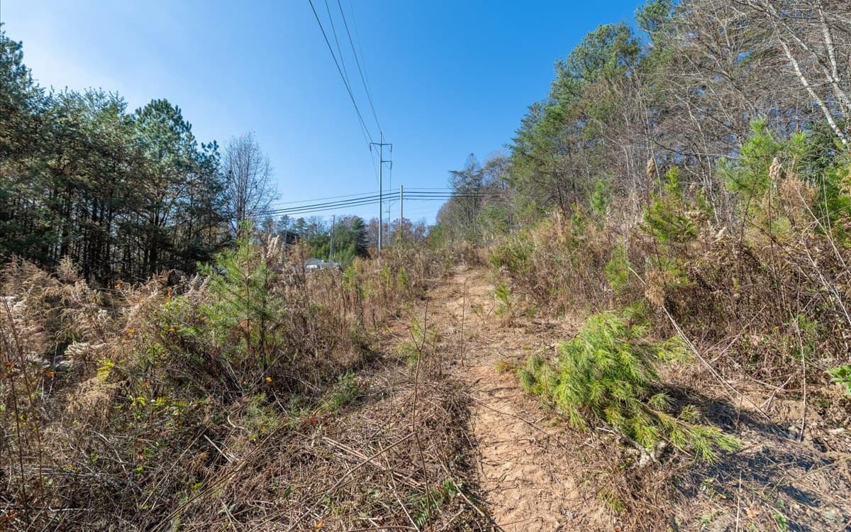 0 Lakewood Hwy, Mineral Bluff GA 30559 - Photo