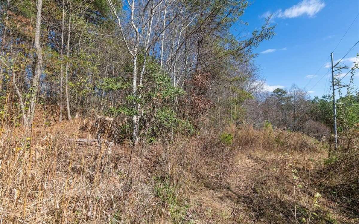 0 Lakewood Hwy, Mineral Bluff GA 30559 - Photo