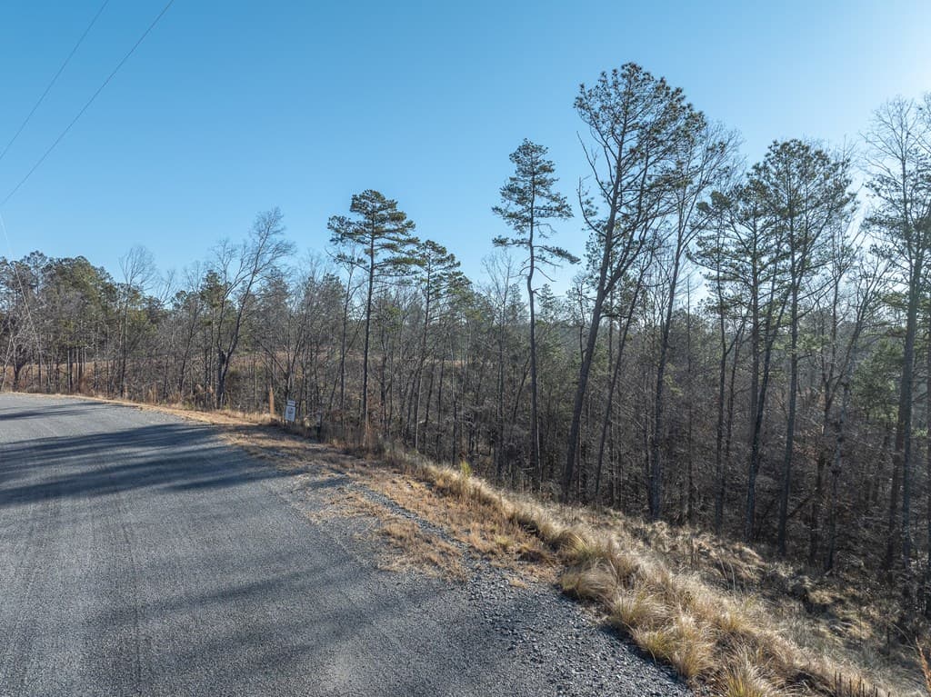 Lot 244 Spear Point Dr, Talking Rock GA 30175 - Photo