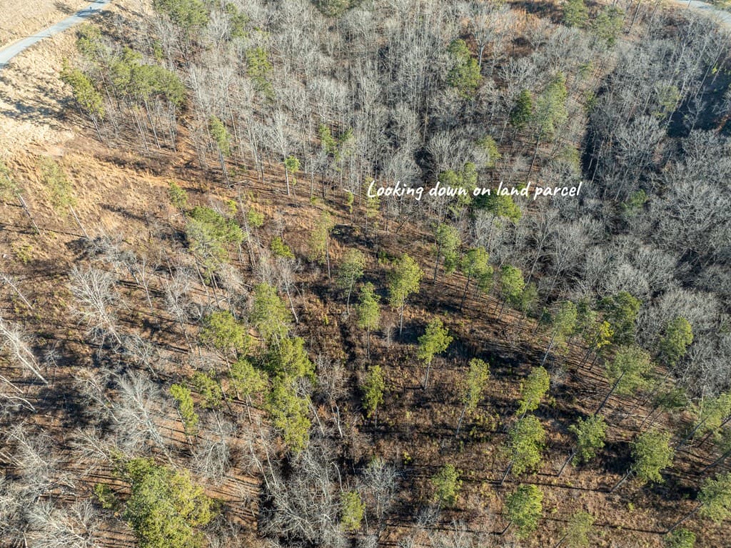 Lot 244 Spear Point Dr, Talking Rock GA 30175 - Photo