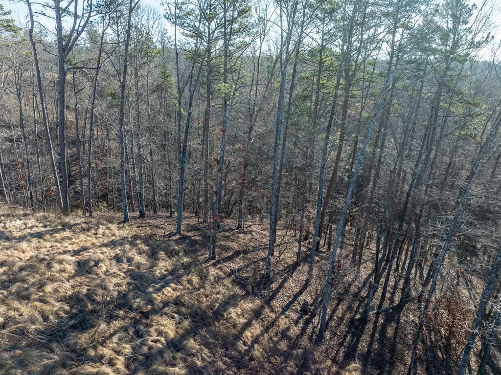 Lot 244 Spear Point Dr, Talking Rock GA 30175 - Photo
