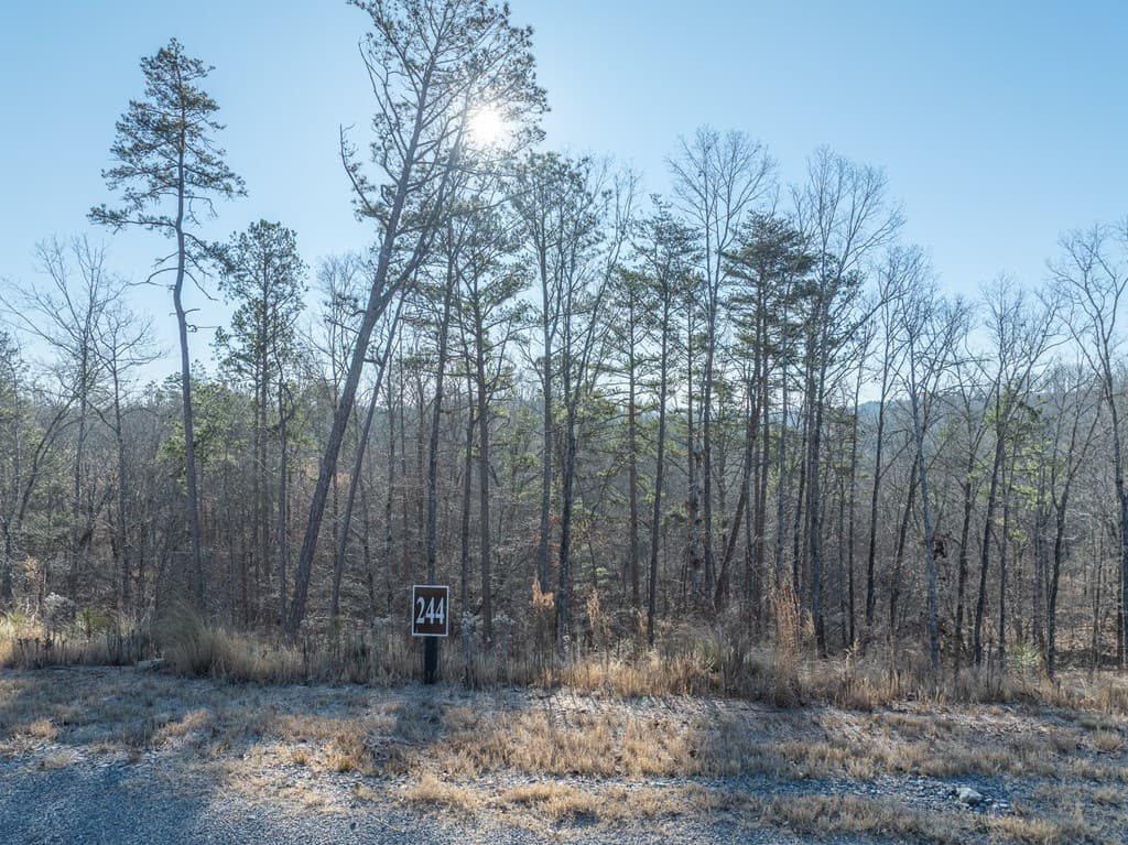 Lot 244 Spear Point Dr, Talking Rock GA 30175 - Photo