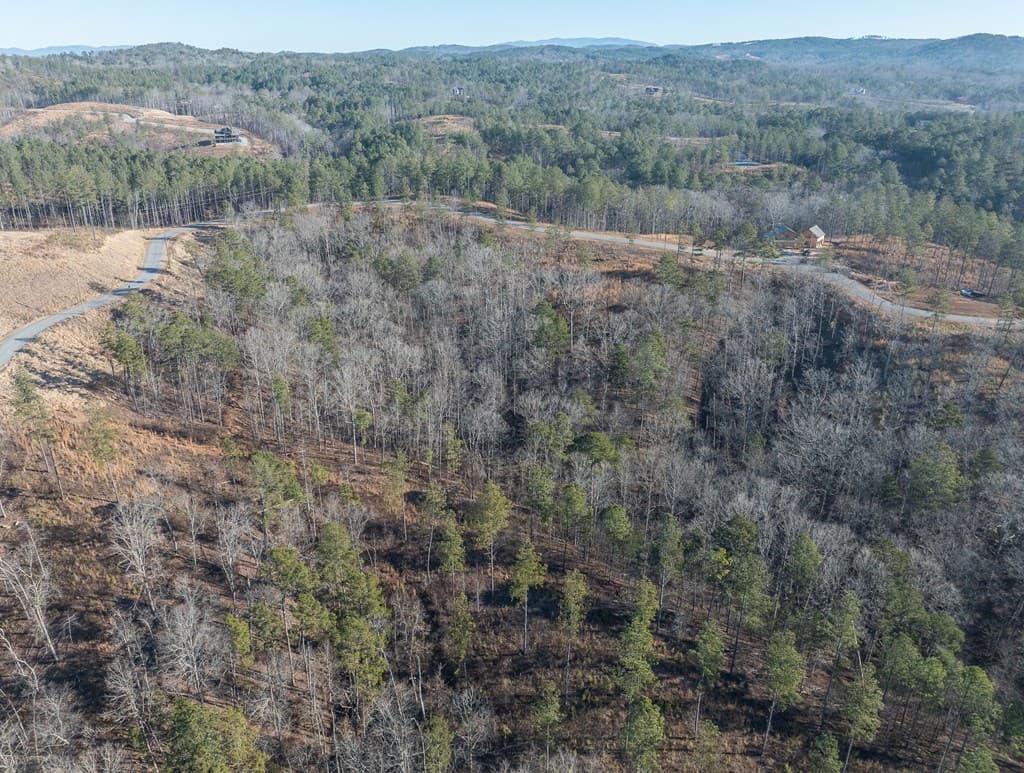 Lot 244 Spear Point Dr, Talking Rock GA 30175 - Photo