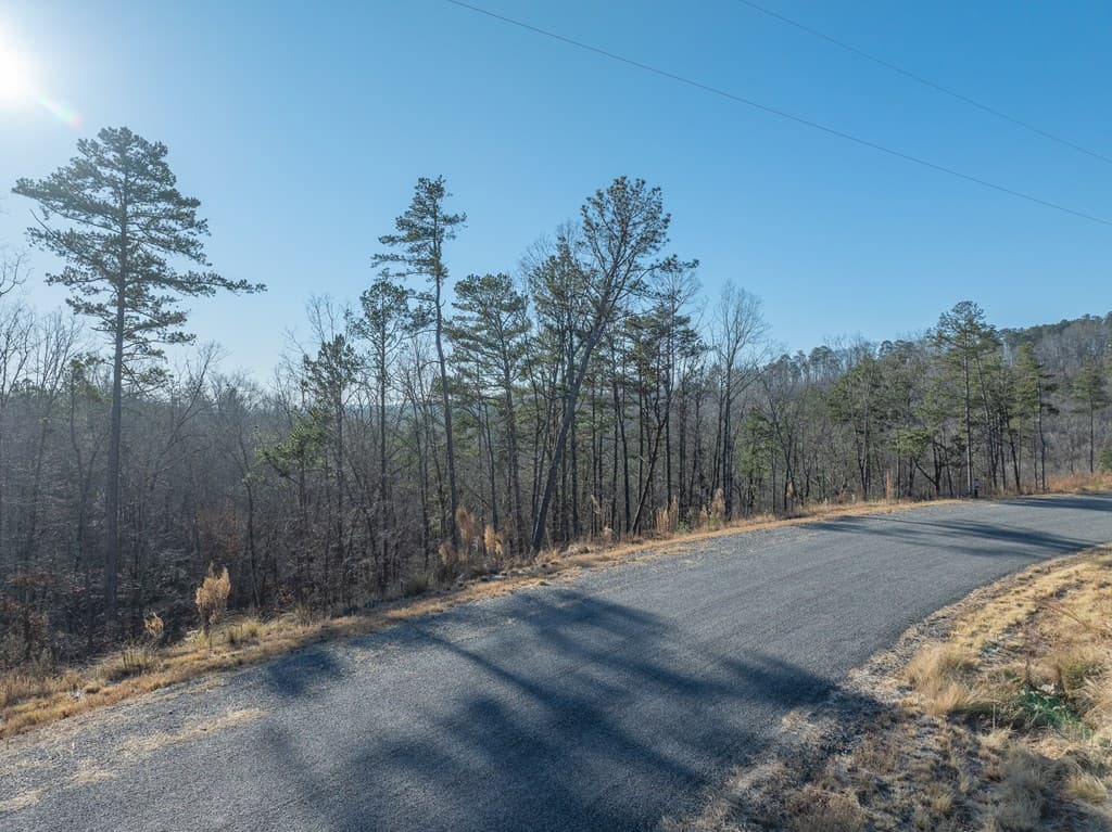 Lot 244 Spear Point Dr, Talking Rock GA 30175 - Photo