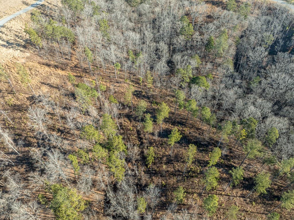 Lot 244 Spear Point Dr, Talking Rock GA 30175 - Photo