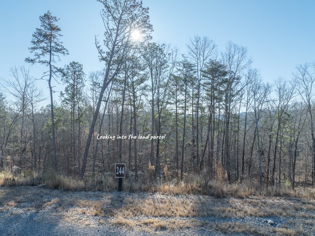 Lot 244 Spear Point Dr, Talking Rock GA 30175 - Photo