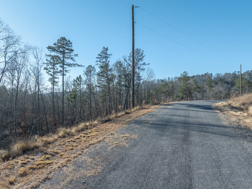 Lot 244 Spear Point Dr, Talking Rock GA 30175 - Photo