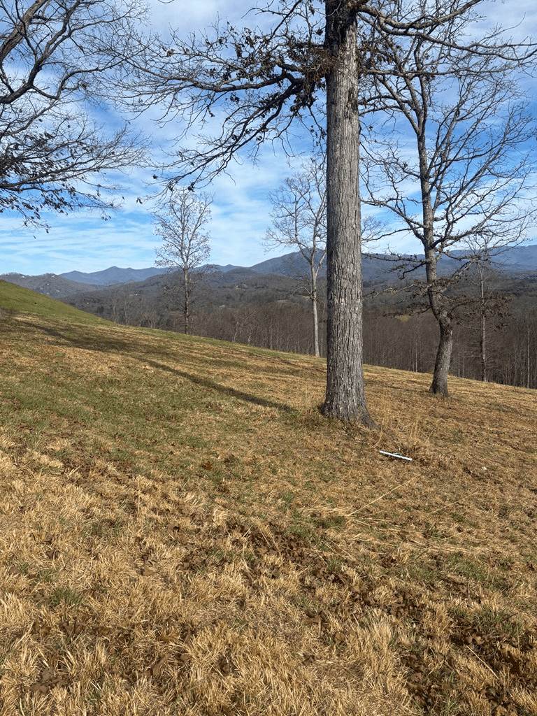 Lot 24 Jack Groves Lane, Hayesville NC 28904 - Photo