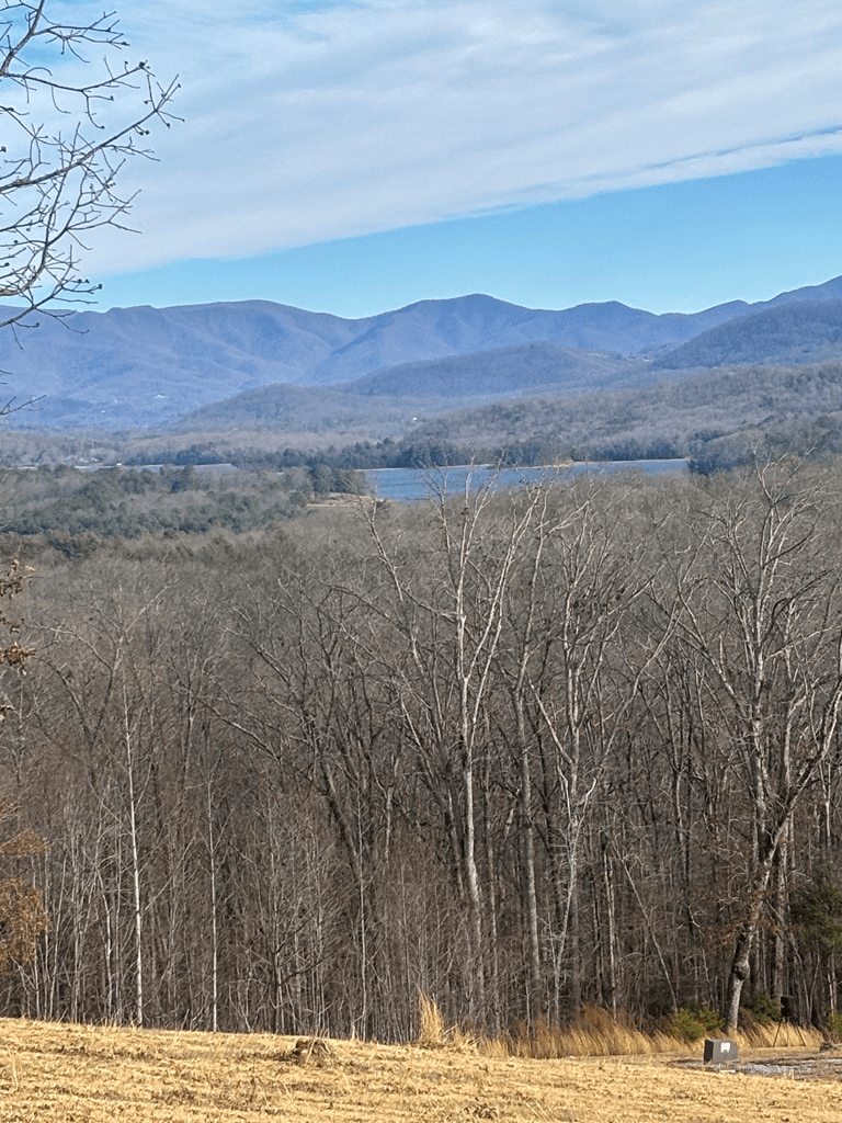 Lot 24 Jack Groves Lane, Hayesville NC 28904 - Photo