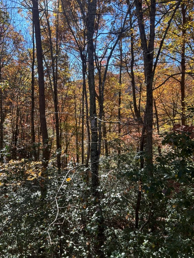 233 Wildwind Lane, Blairsville GA 30512 - Photo