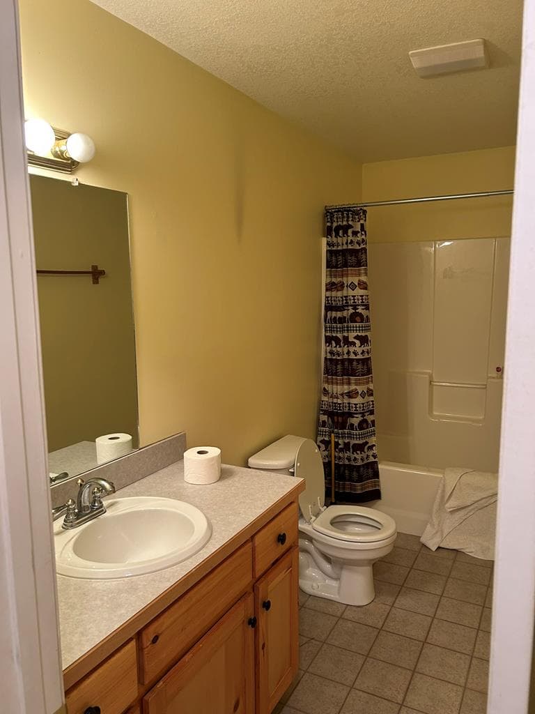233 Wildwind Lane, Blairsville GA 30512 - Photo