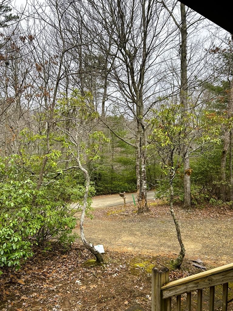 233 Wildwind Lane, Blairsville GA 30512 - Photo