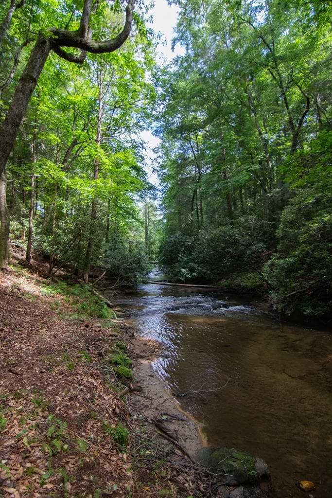 1990 Big Creek Road, Blue Ridge GA 30513 - Photo
