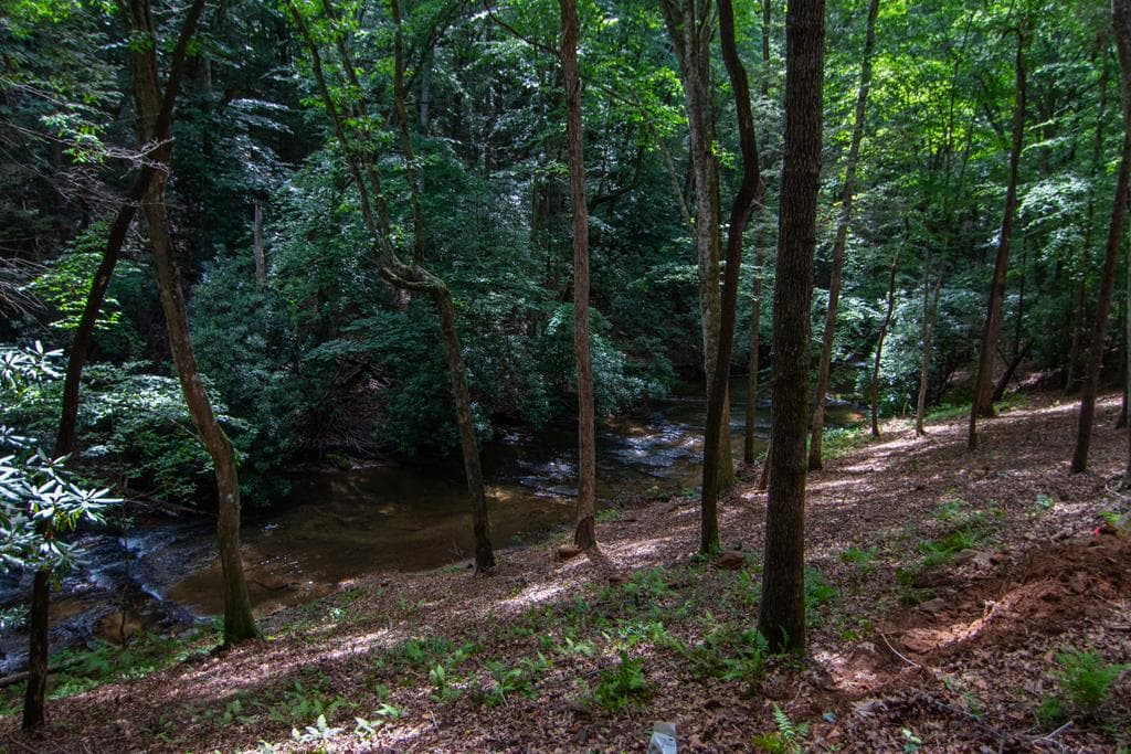 1990 Big Creek Road, Blue Ridge GA 30513 - Photo