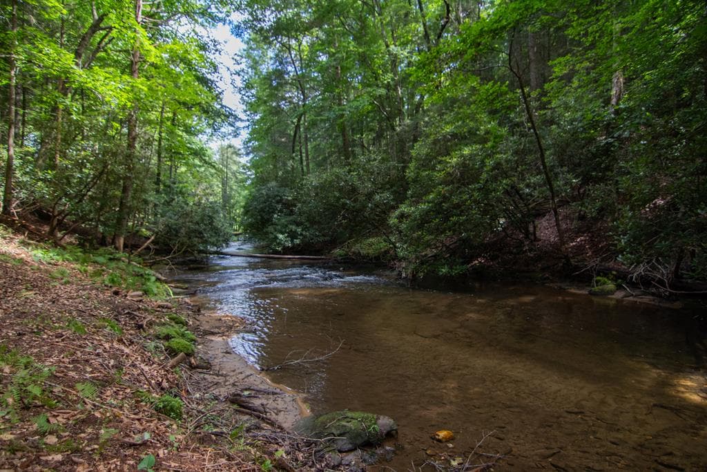 1990 Big Creek Road, Blue Ridge GA 30513 - Photo
