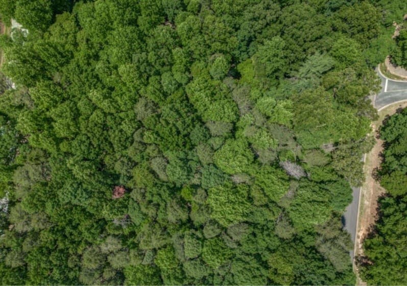 000 Plum Lane, Clarkesville GA 30523 - Photo