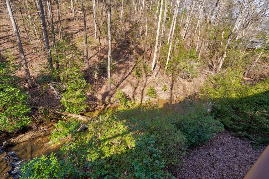 416 Millstone Mountain Lane, Blue Ridge GA 30513 - Photo