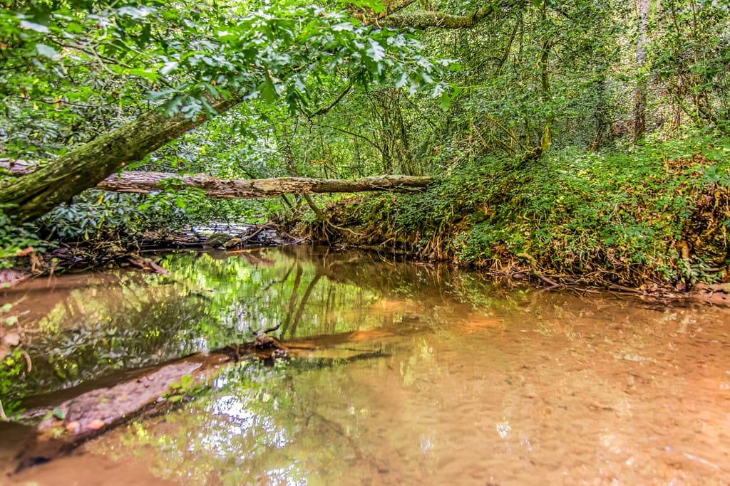 416 Millstone Mountain Lane, Blue Ridge GA 30513 - Photo