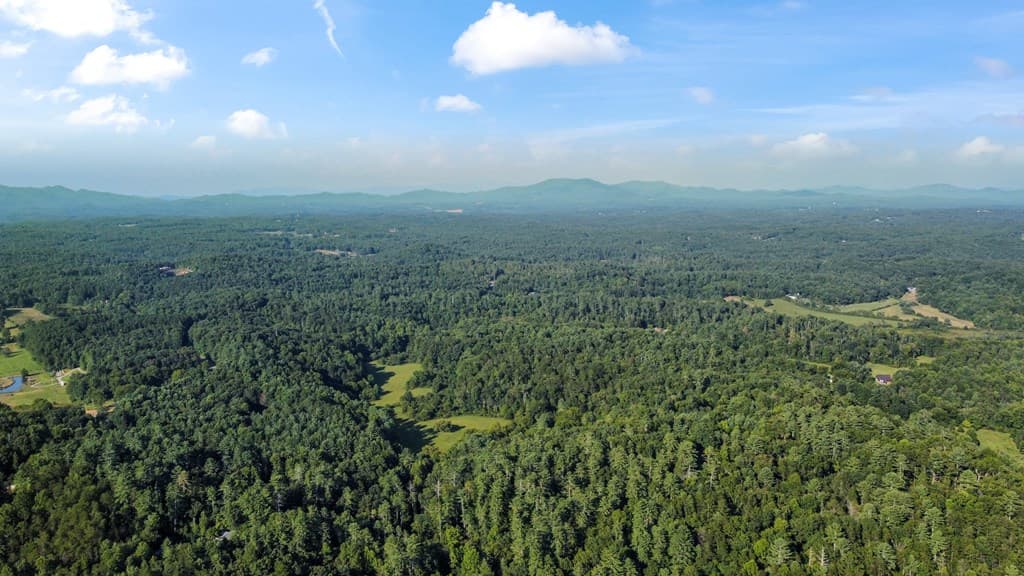 416 Millstone Mountain Lane, Blue Ridge GA 30513 - Photo