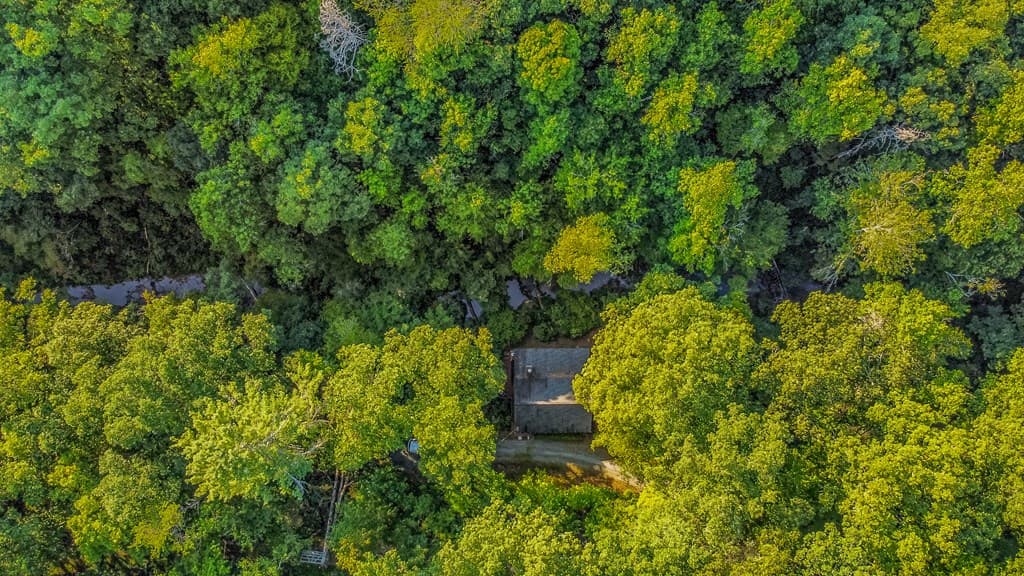 416 Millstone Mountain Lane, Blue Ridge GA 30513 - Photo