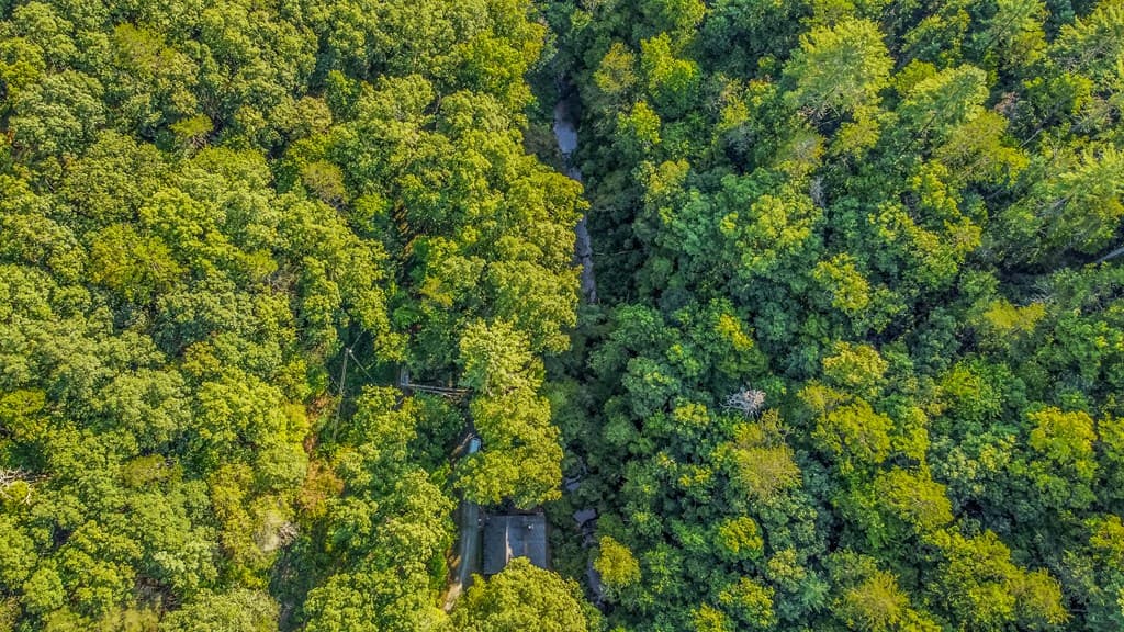 416 Millstone Mountain Lane, Blue Ridge GA 30513 - Photo