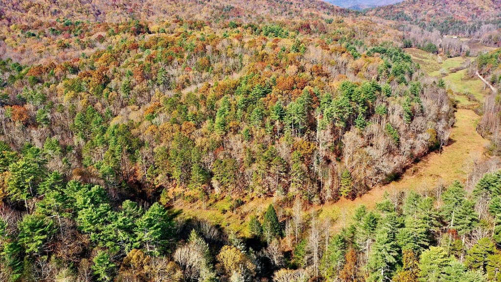 TR 3B Wolf Pen Gap Road, Ellijay GA 30540 - Photo