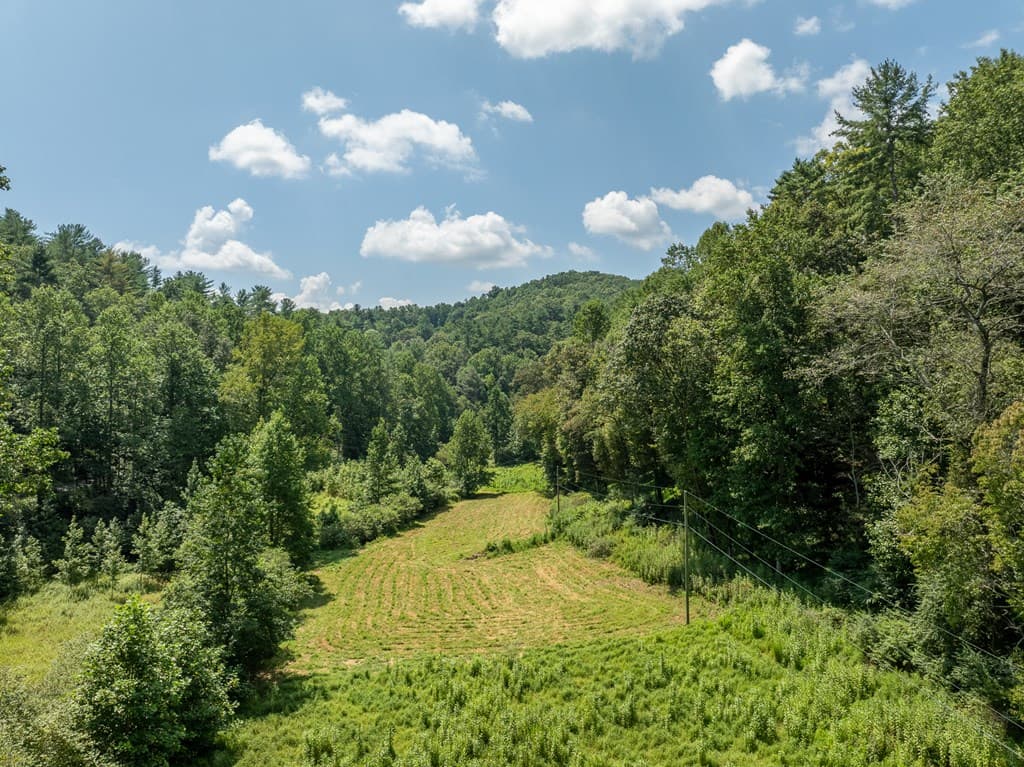 TR 3B Wolf Pen Gap Road, Ellijay GA 30540 - Photo