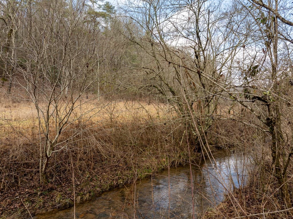 TR 3B Wolf Pen Gap Road, Ellijay GA 30540 - Photo