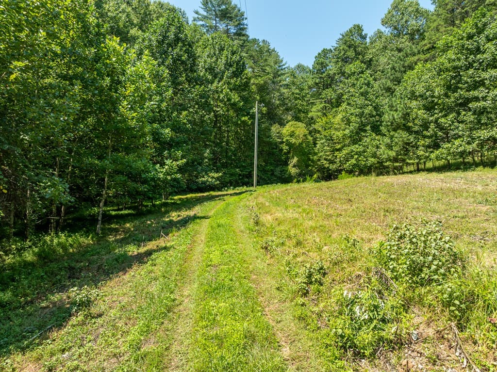 TR 3B Wolf Pen Gap Road, Ellijay GA 30540 - Photo
