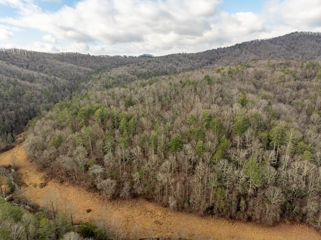 TR 3B Wolf Pen Gap Road, Ellijay GA 30540 - Photo